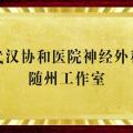 好消息！“近”享頂尖醫(yī)療服務(wù)！協(xié)和醫(yī)院神經(jīng)外科知名專家團(tuán)隊(duì)每周四到市中心醫(yī)院坐診、手術(shù)！