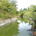 “巡”來(lái)及時(shí)水 保灌暖民心