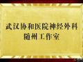 好消息！“近”享頂尖醫(yī)療服務(wù)！協(xié)和醫(yī)院神經(jīng)外科知名專家團隊每周四到市中心醫(yī)院坐診、手術(shù)！