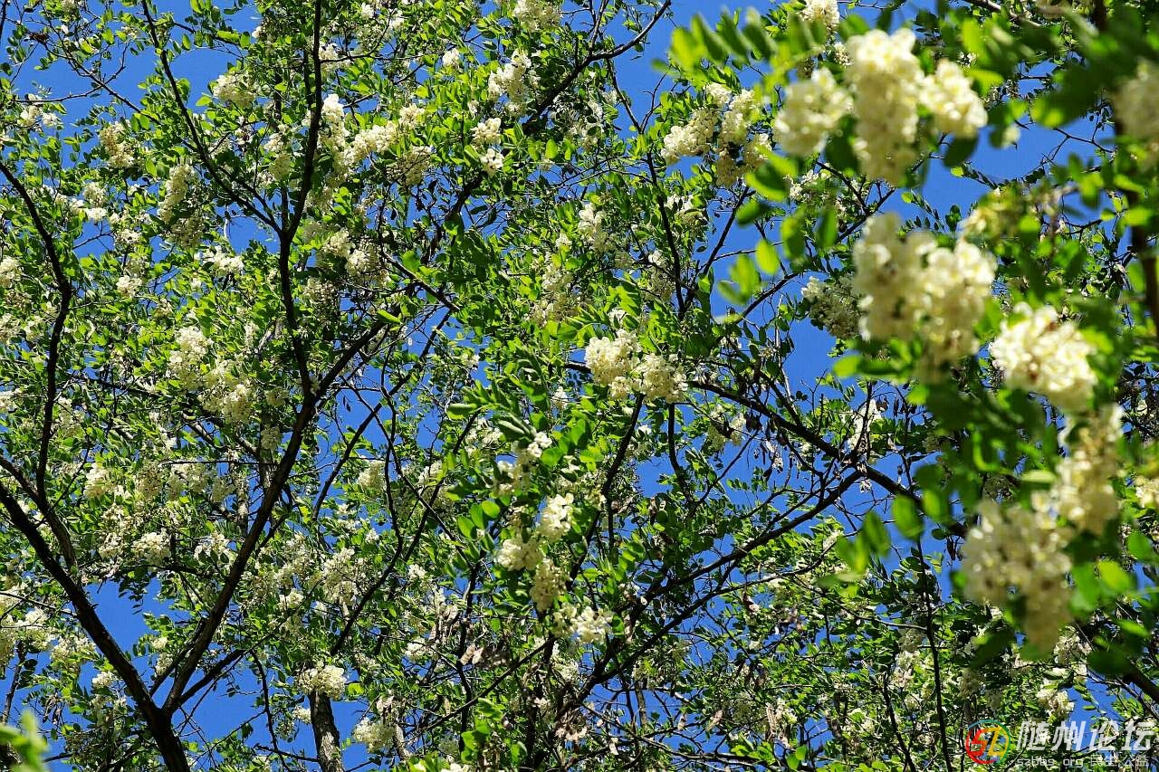 20190418_17390550_1555585764294.jpg